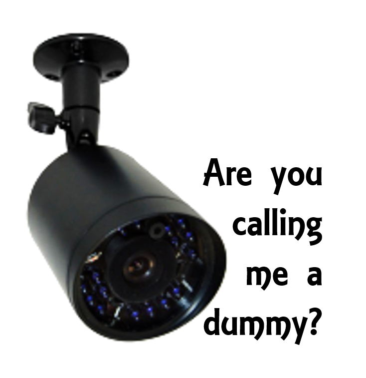 Dummy outdoor security Cameras